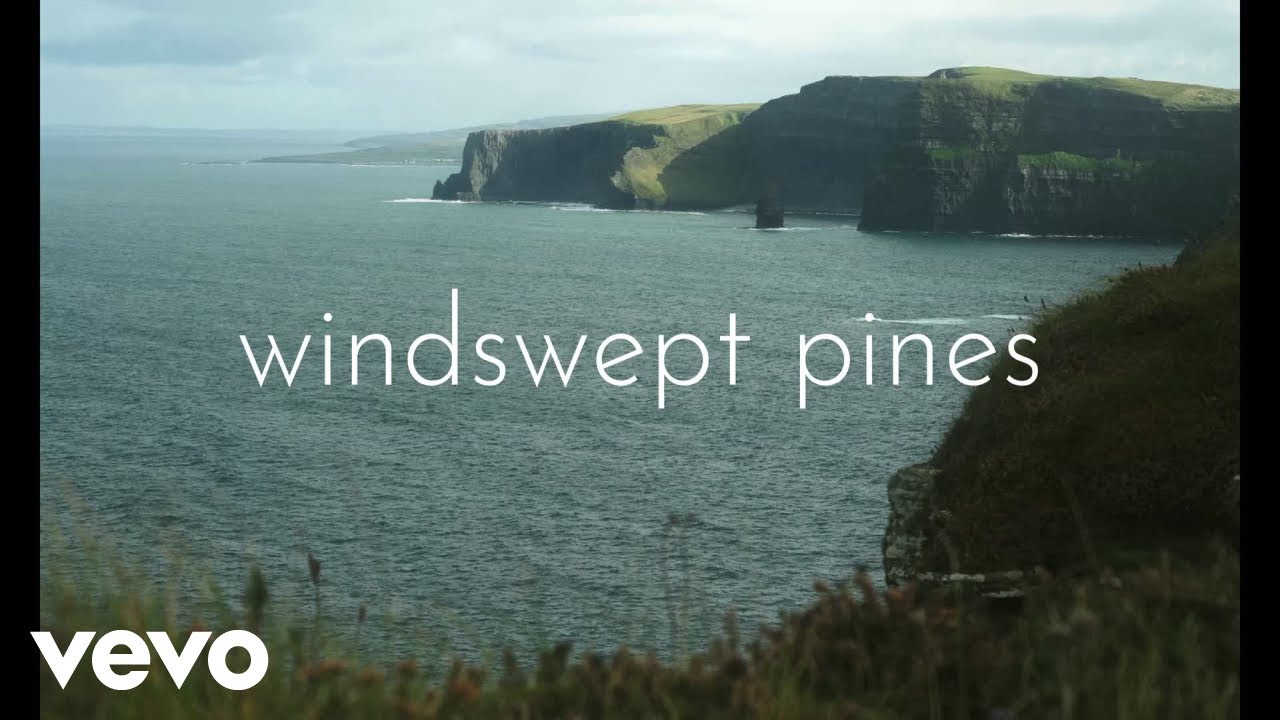 Shayan Regan - Windswept Pines(Lyric Video) (Official Music Video)