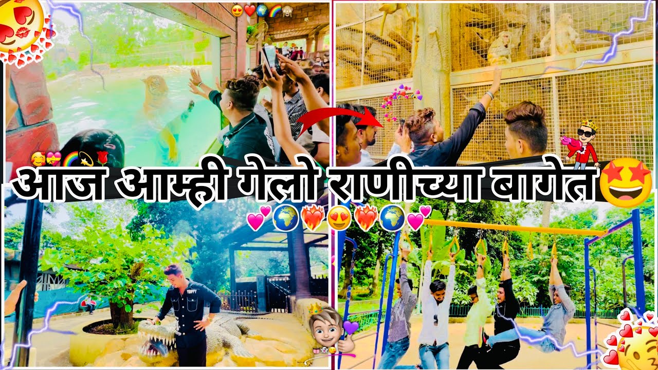 आज आम्ही गेलो राणीच्या बाघेत खूप मज्जा केली वाघा सोबत 🐅😊