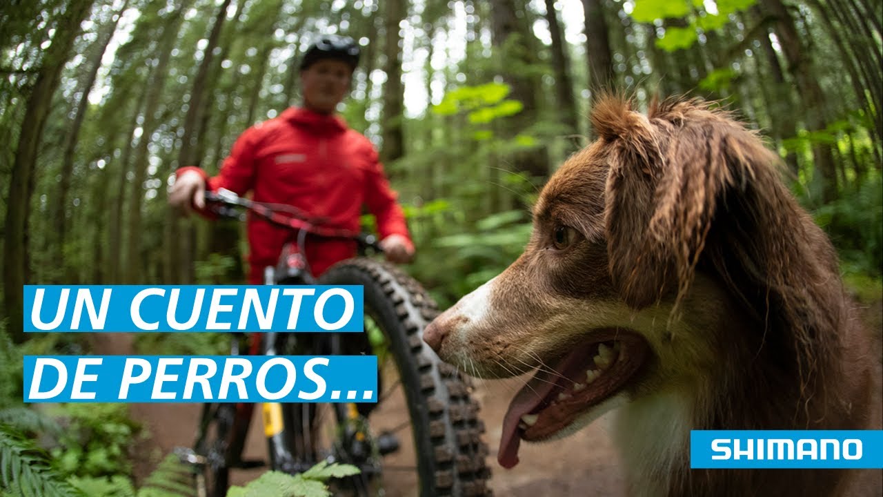 ¿Cómo entrenar con tu perro en bicicleta MTB? Bicis y mascotas Un cuento de perros ShimanoVenezuela