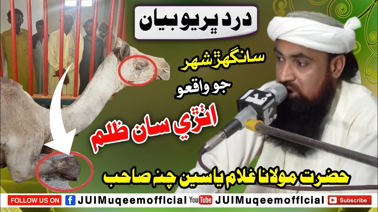 Sanghar Shahar Mein Othri Saan Zulam | New Bayan (2024) | Maulana Ghulam Yaseen Chana Sahab