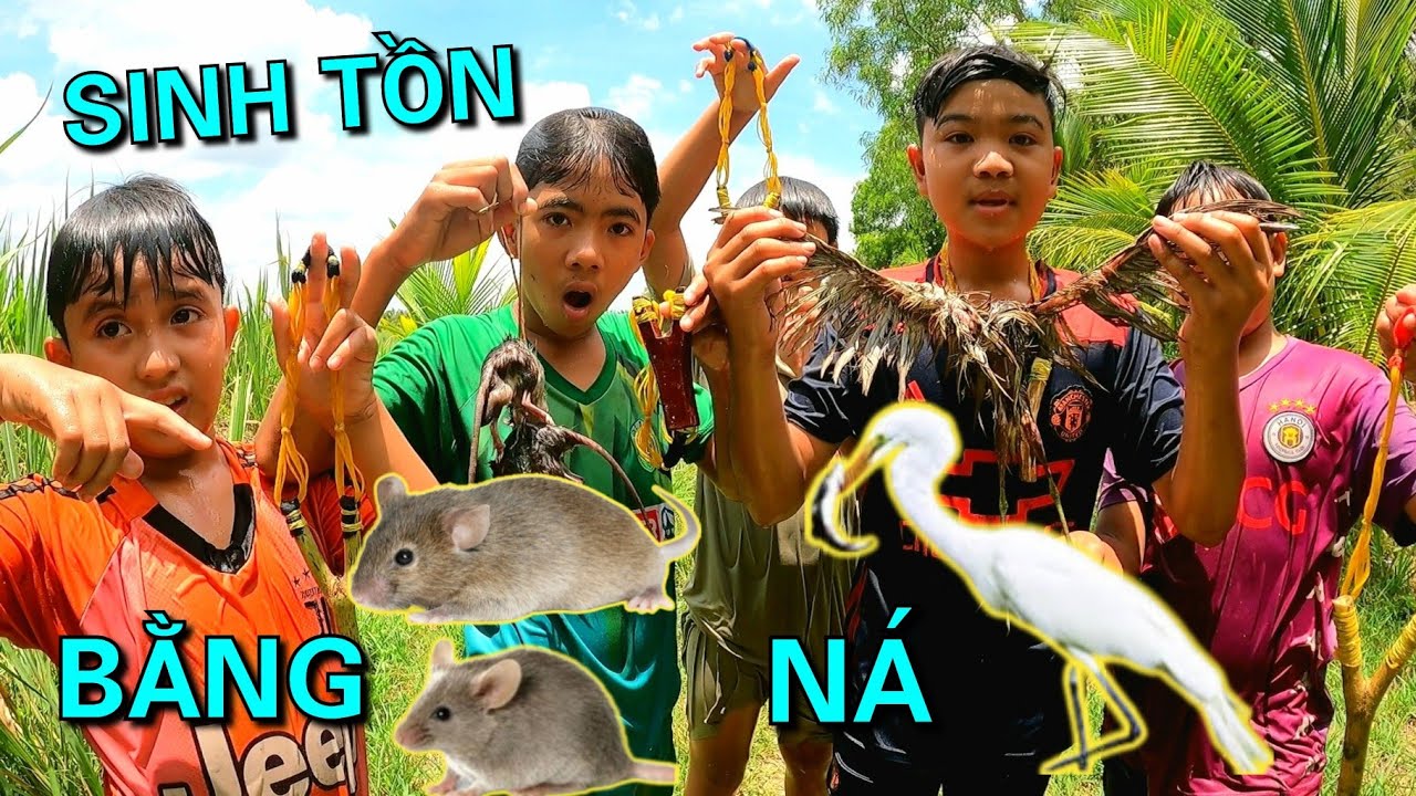 Chế Tạo Ná Thun Để Săn Bắt Sinh Tồn Một Ngày Sinh Tồn Làm Ná Thủ
