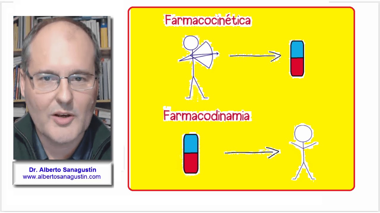 Farmacocinética y Farmacodinamia: diferencias | Farmacología