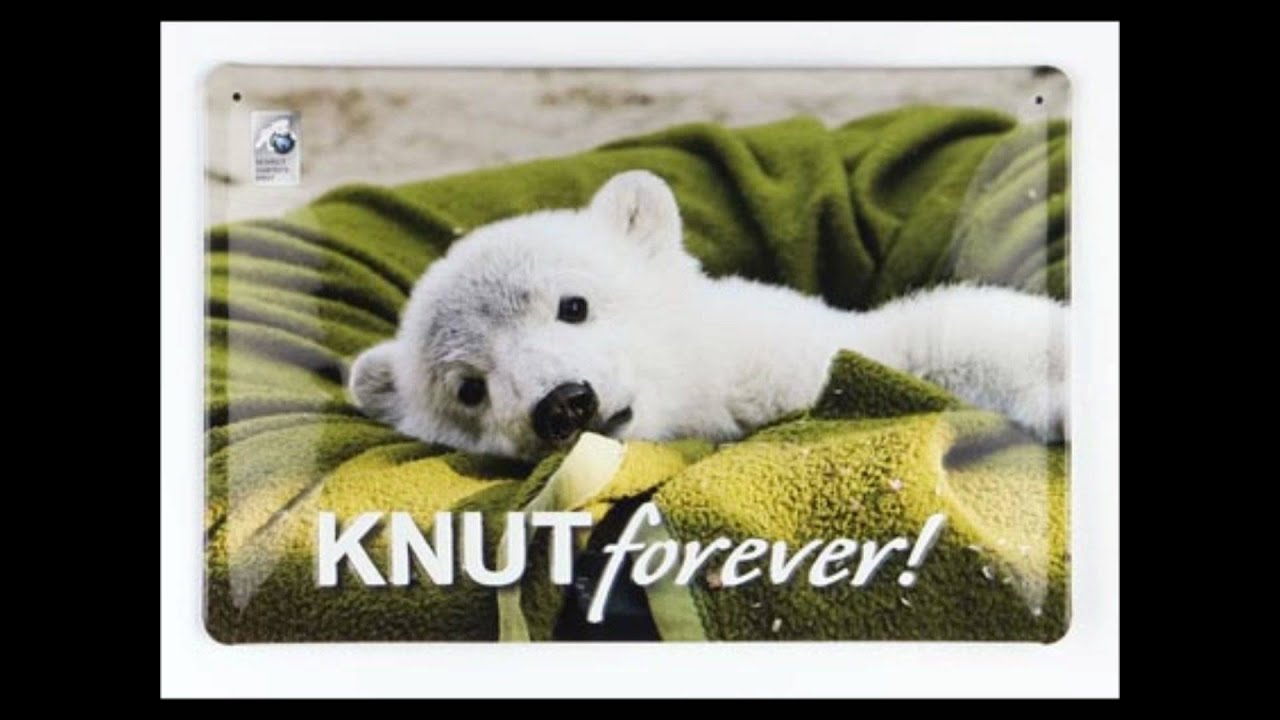 Knut´s Abschiedsvideo