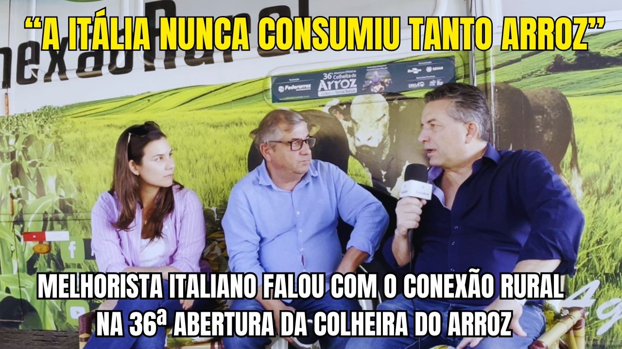 Para todos os gostos: por que a Itália está comendo mais arroz