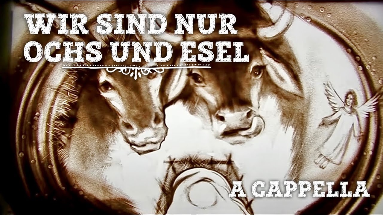 Wir sind nur Ochs und Esel - Alte Bekannte