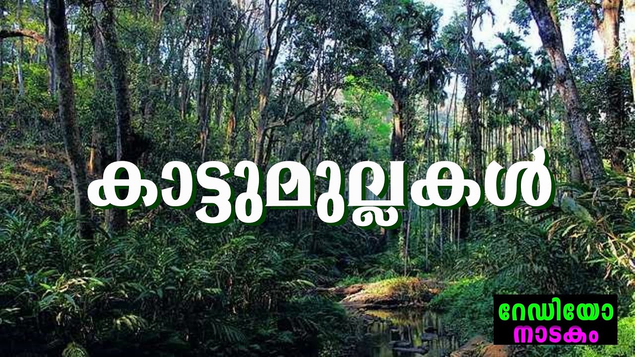 RADIO DRAMA | KATTUMULLAKAL : റേഡിയോ നാടകം | കാട്ടുമുല്ലകൾ