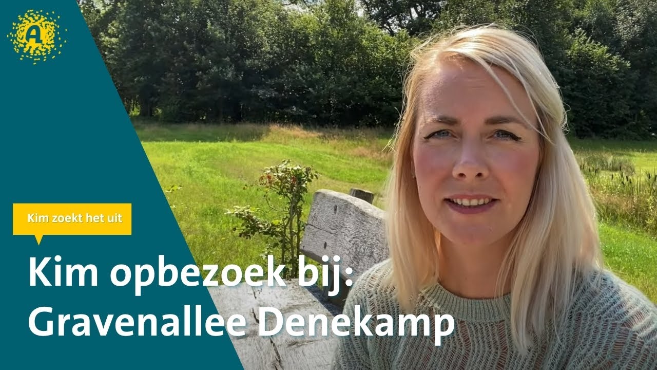 Online kijkje nemen bij locatie Gravenallee?
