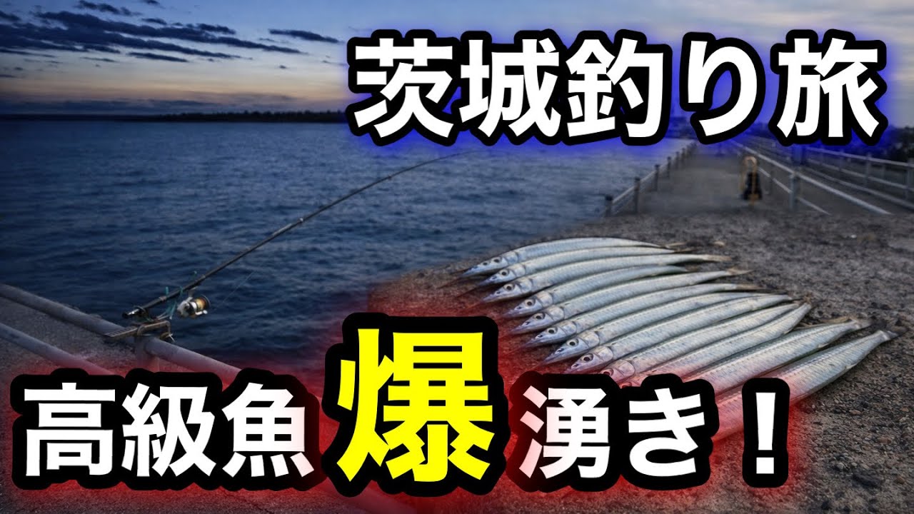 初心者でも爆釣するサヨリの釣り方はコレ！２日目は尺アジを求めて【茨城釣り旅】