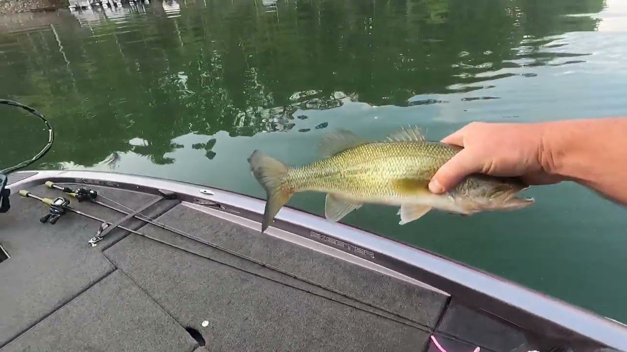 Top water bite is 🔥🔥 on Lake James right now!