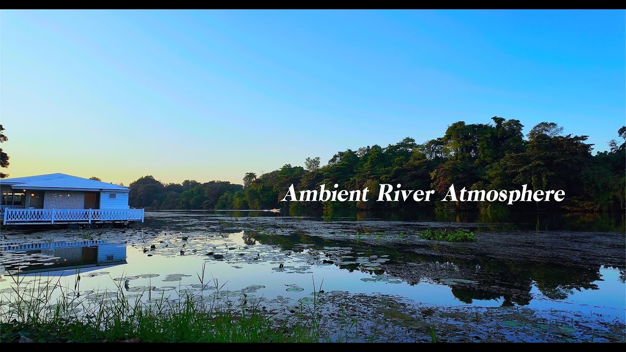 4K 2-Hour Relaxing/Natural Scenery/Nature View🏞️/Calm Moment ♨️/JaiYen in Bangkok ,Thailand