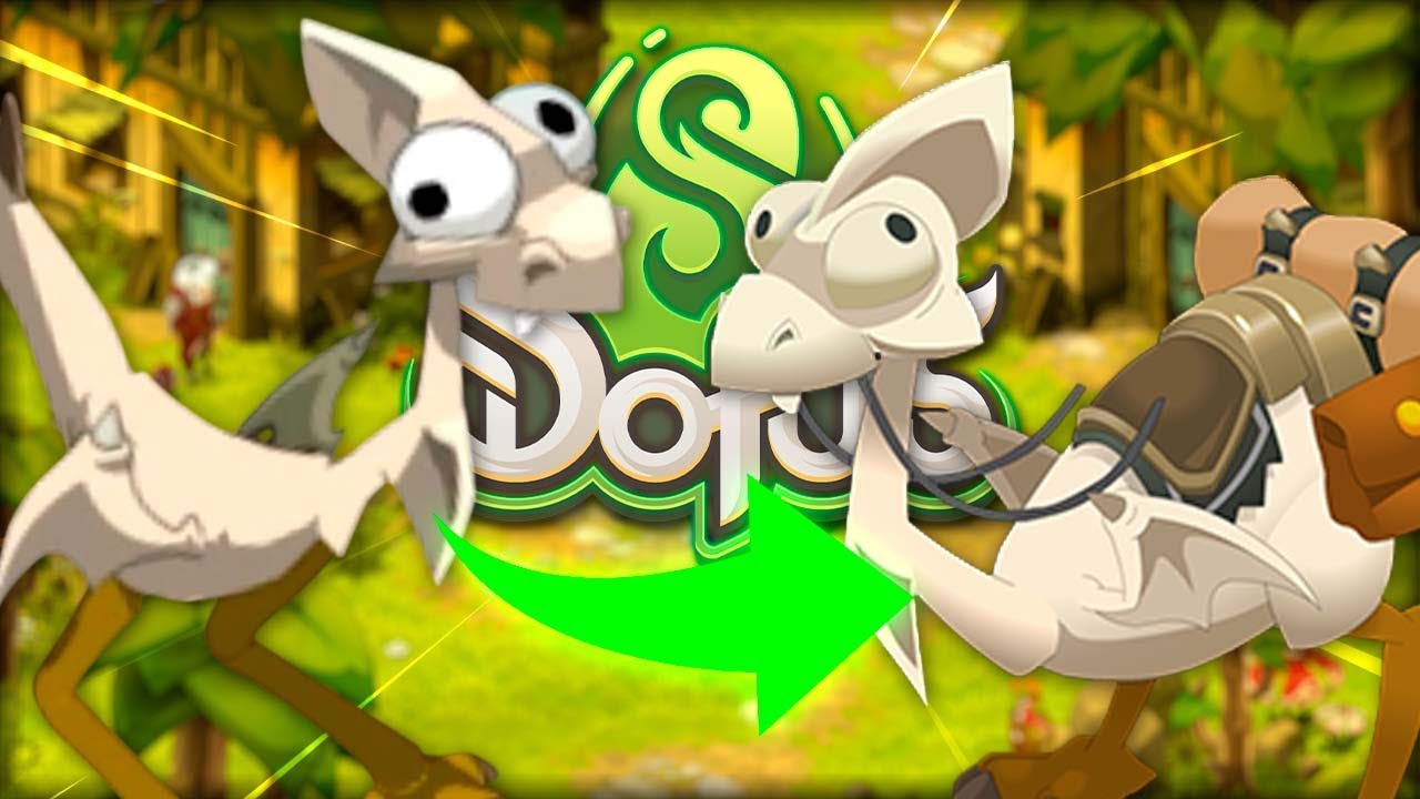 NUEVAS APARIENCIAS A LOS DRAGOPAVOS 🦃 AHORA PODRÁN VOLAR? 😱 | DOFUS