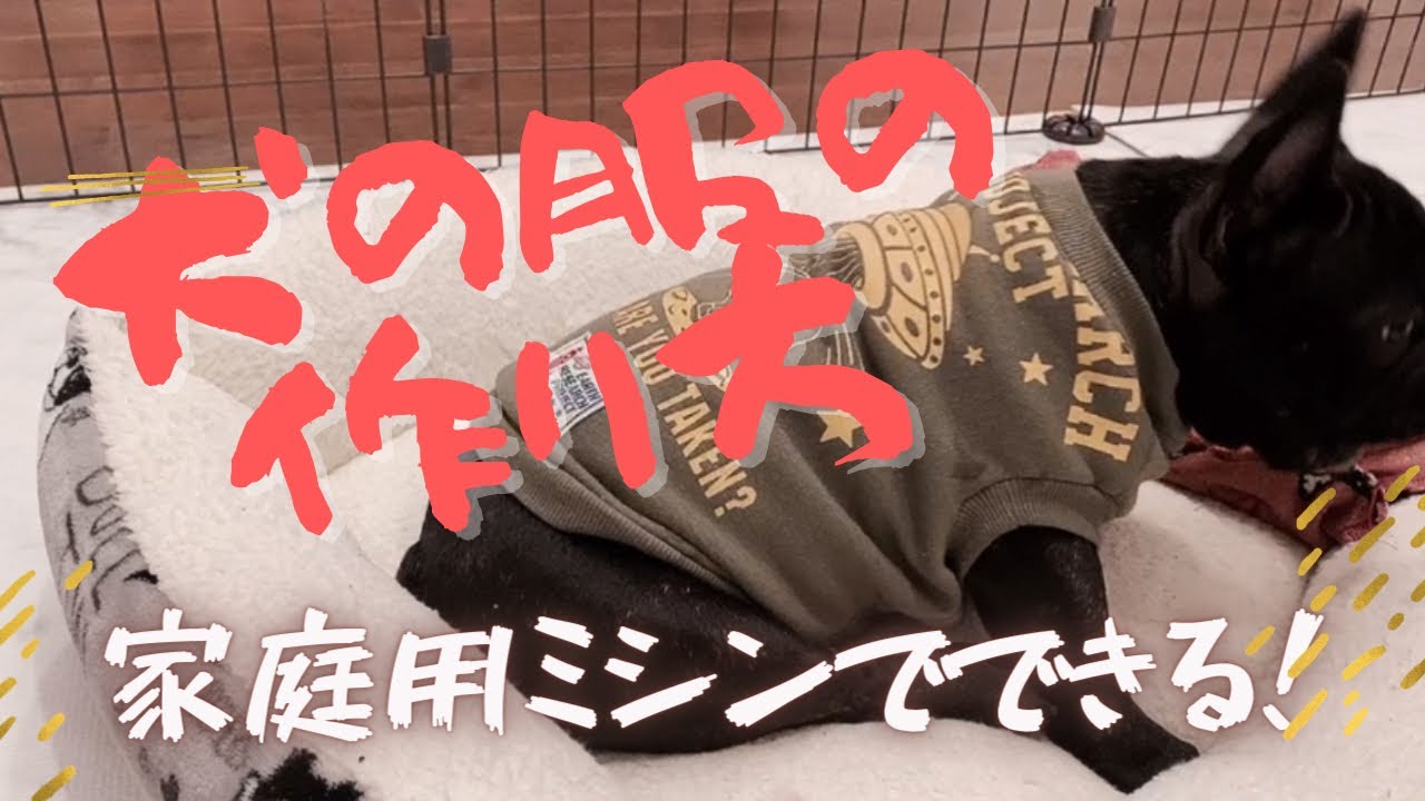 【買ったみたい！】超簡単！犬服の作り方〜ぶきっちょさんでもぜんぜん大丈夫！〜【Frenchbulldogフレンチブルドッグ】