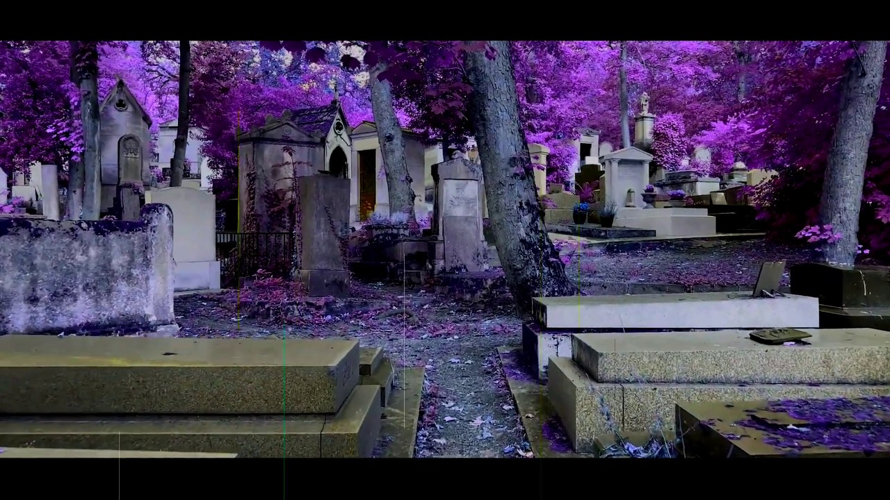 Jim Morrison - The Severed Garden(with lyrics)