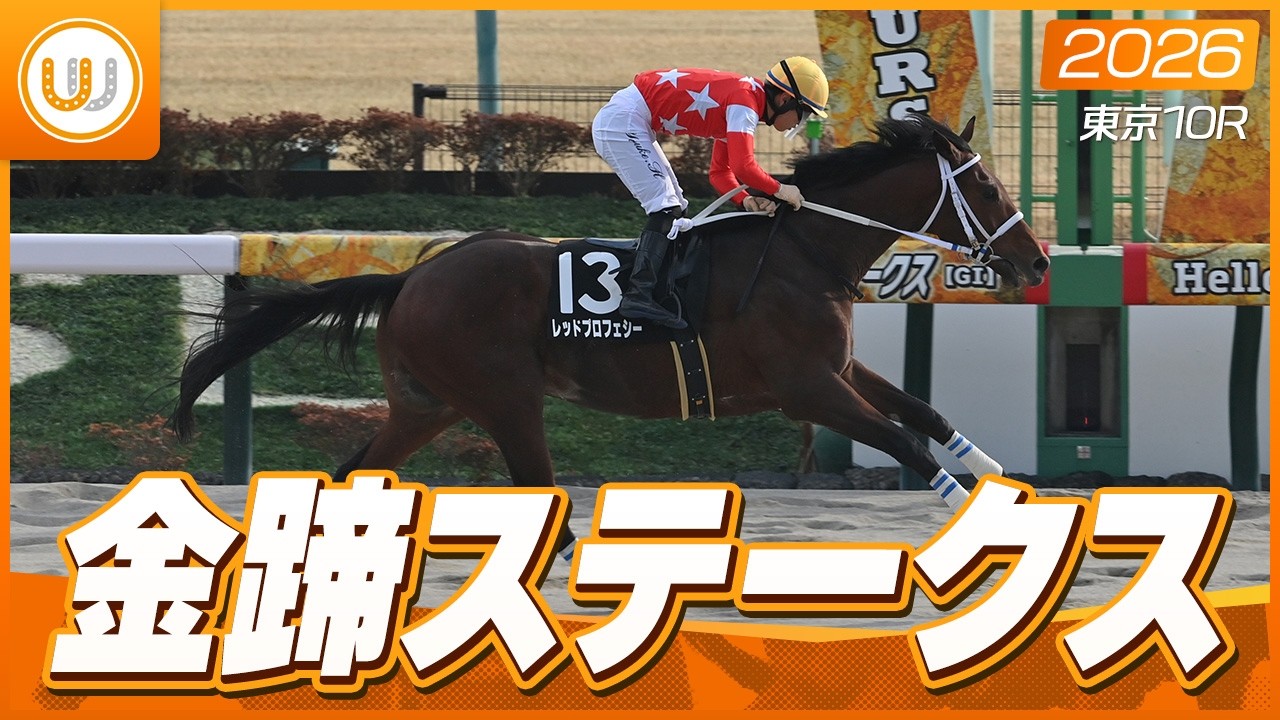 【レース映像】東京10R 金蹄ステークス｜レッドプロフェシー（原優介）｜ウイニング競馬