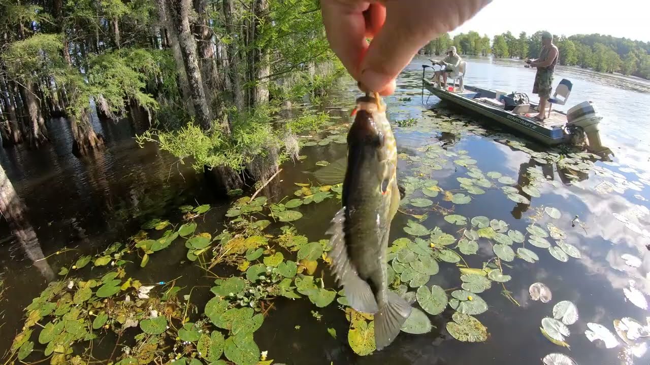 Санти Купер ловит ракушку на клювах @gatorsoutdooradventures
