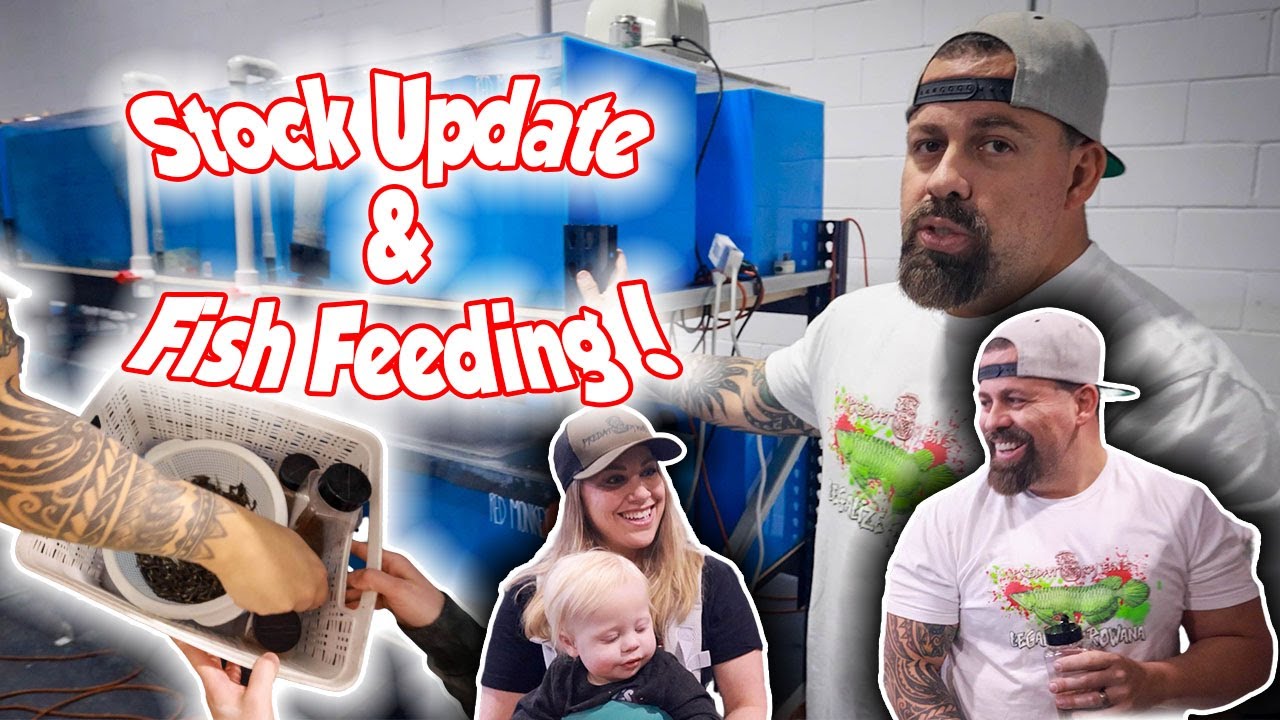 FISH STOCK UPDATE & FEEDING ALL THE NEW SHIPMENTS *AWESOME STUFF*