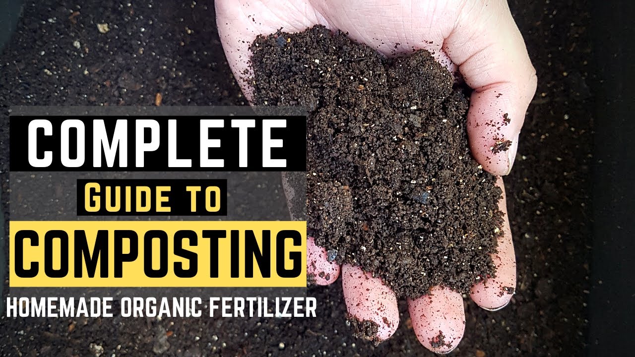 How To Start A Compost Bin From Scratch : A Step By Step Guide With Updates | PH W/ Eng subtitle