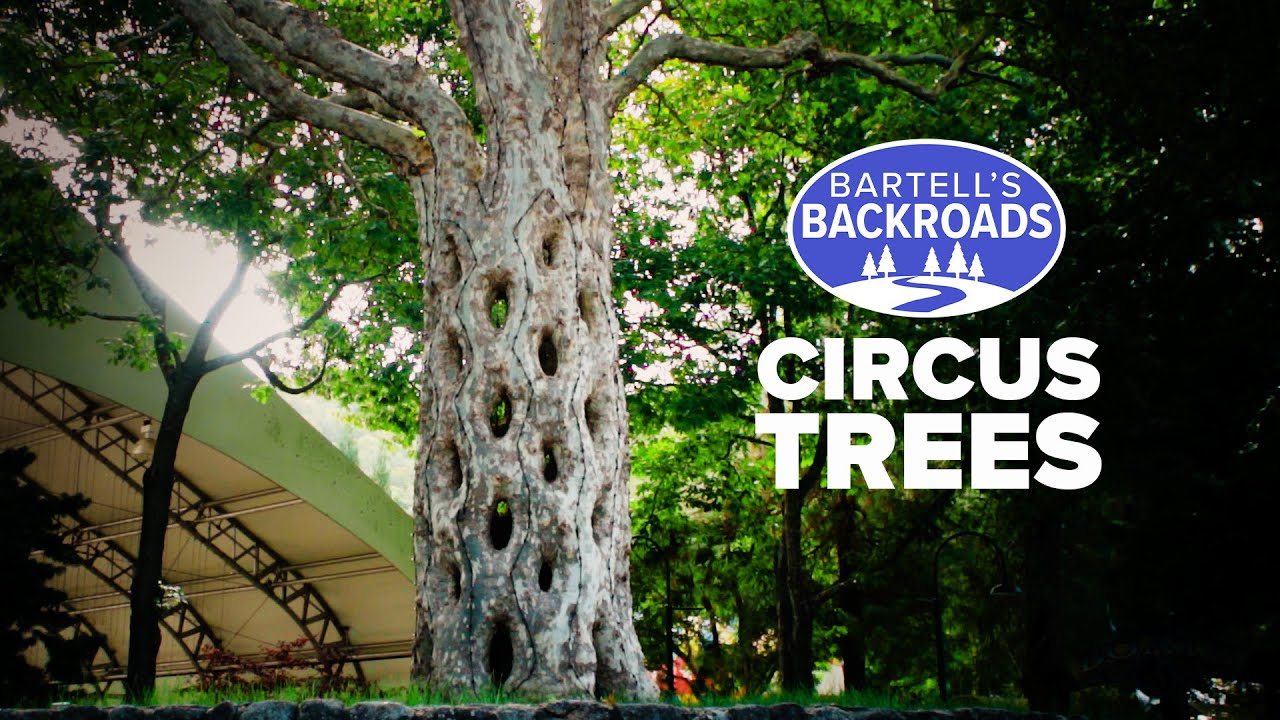 'Circus Trees' at Gilroy Gardens will leave you wondering, 'How did they do that?'