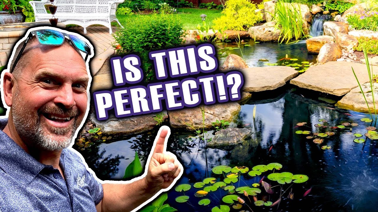A POND for a PERFECTIONIST