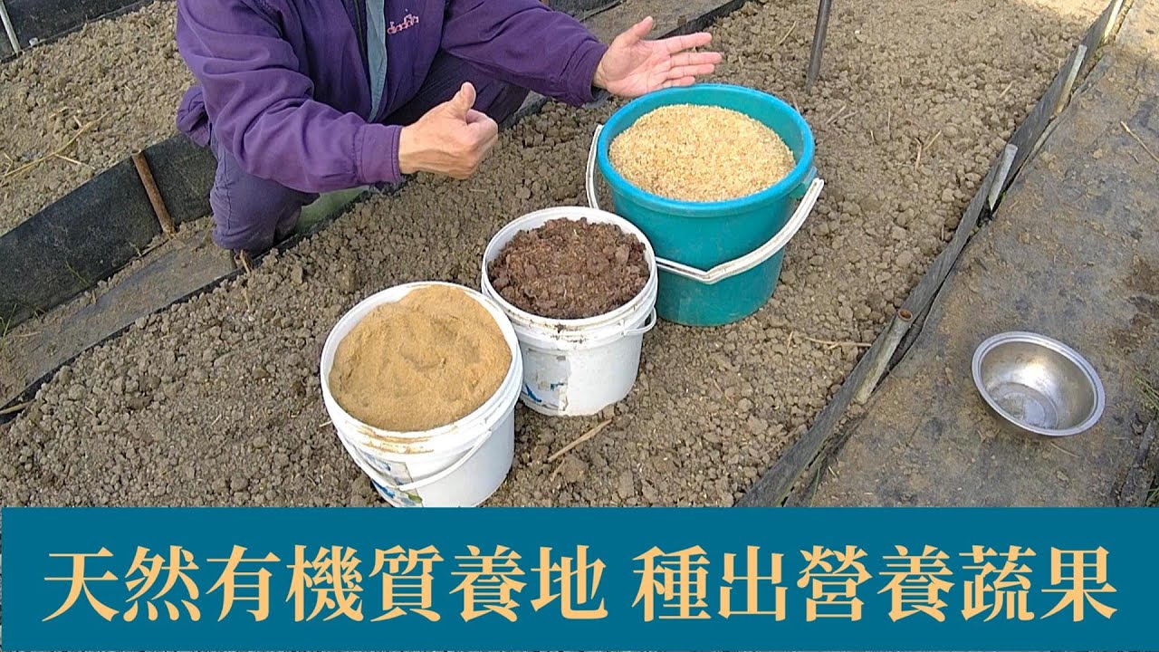 如何用有機質來養地整地，種出營養豐富又健康的好蔬菜 | 阿星種植