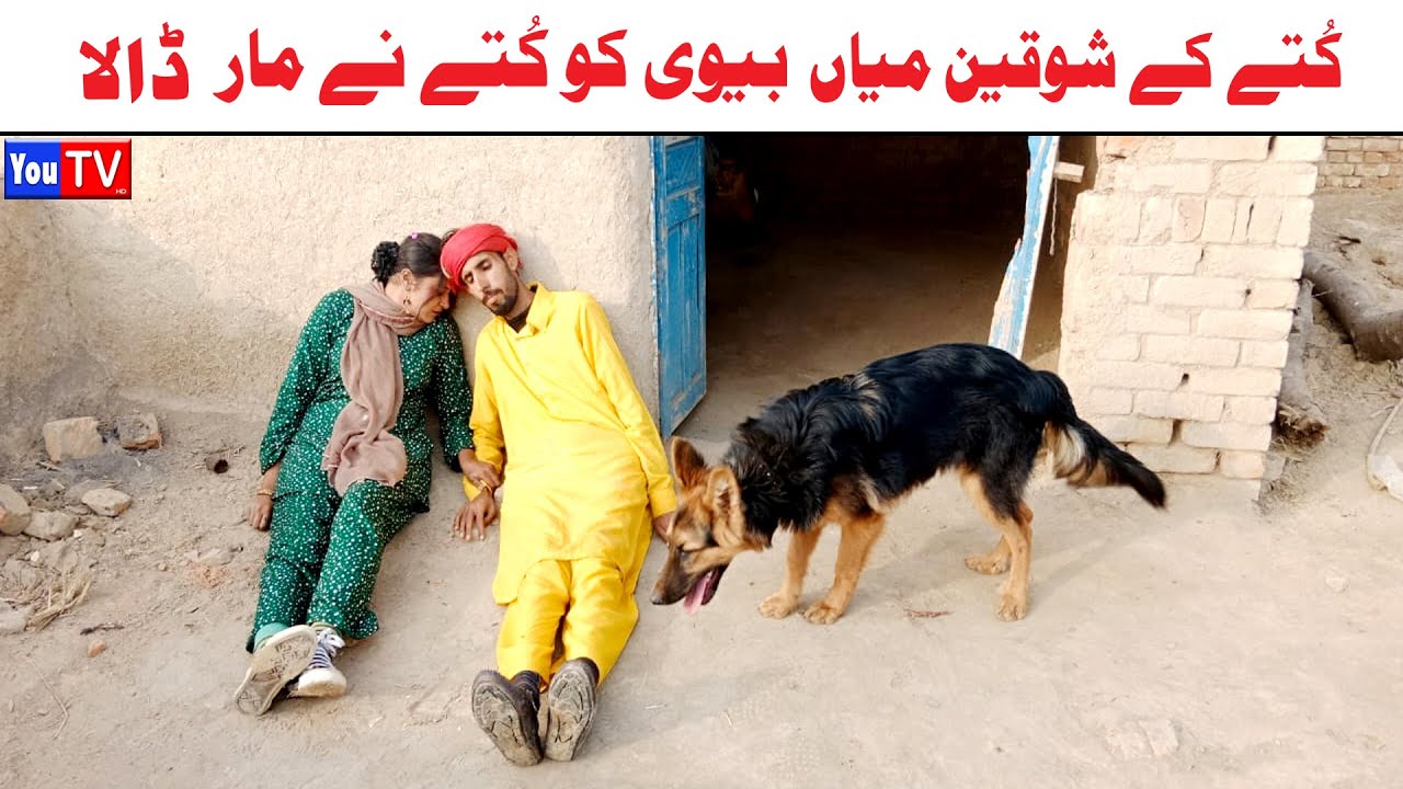 Noor Nazeer Kutay Ka Shoqeen Mia Bivi Funny Video | Most Comedy Funny Video | You Tv Hd 2025