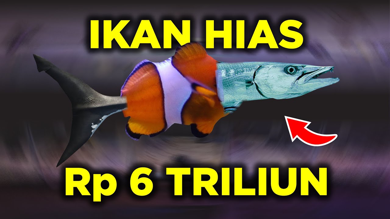 POTENSI BESAR IKAN HIAS AIR LAUT LOKAL MENCAPAI 6 TRILIUN YANG TERSEMBUNYI