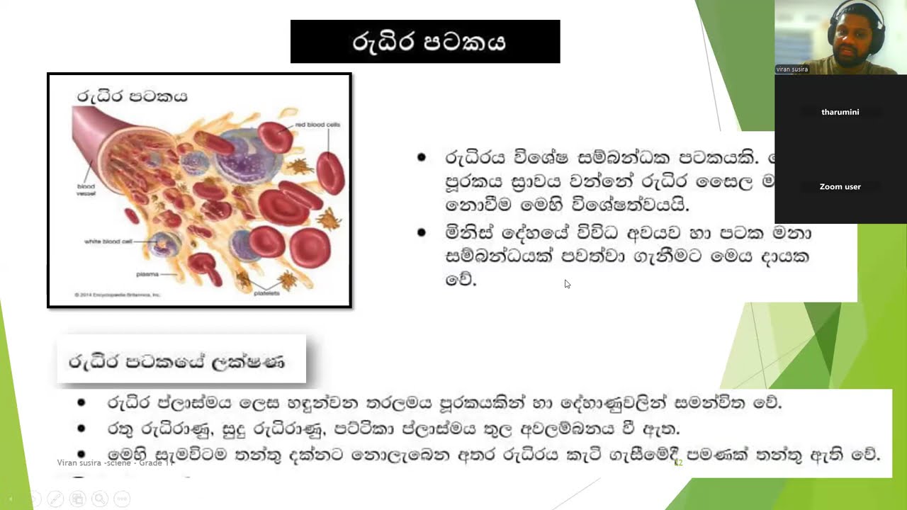Science grade 11 - unit 1 animal tissues