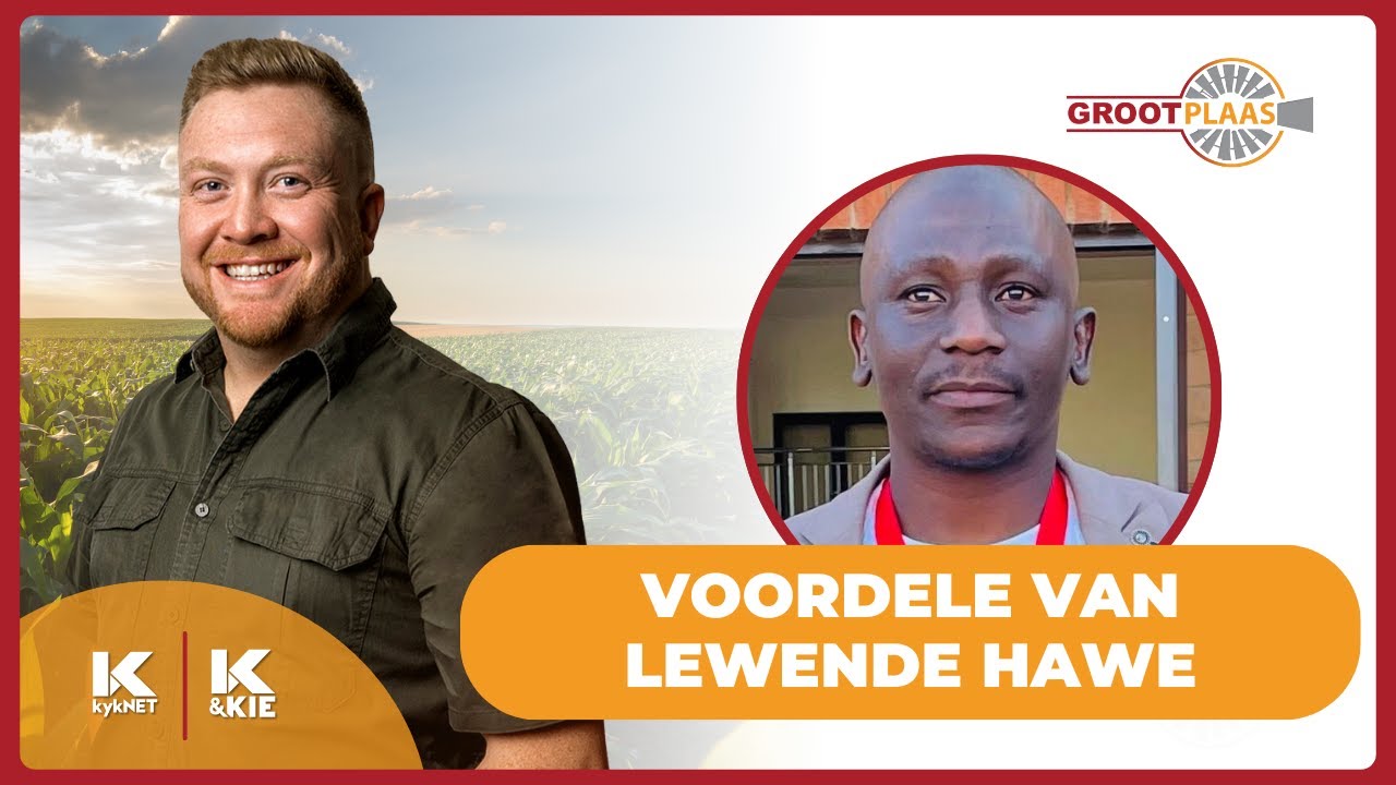 Dr. Walter Shiba, Landbou-ekonoom oor die voordele van lewende hawe | 27 Jan 2026