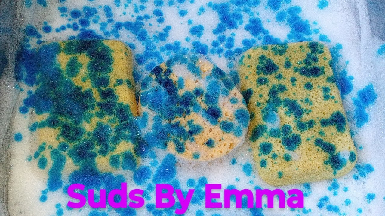 Sudsy Sponge Squeeze
