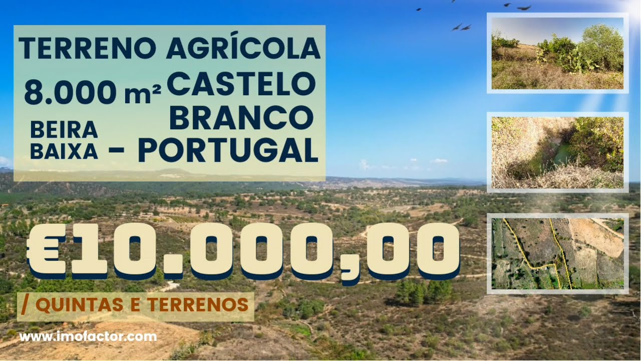 🌾 Terreno Agrícola para Venda - Beira Baixa, Portugal | €10000