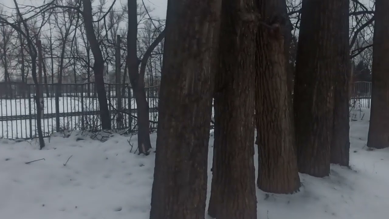  Суть и предназначение Колеса Дхармы. Идея смены эпох в сравнении С новым годом. 🎄