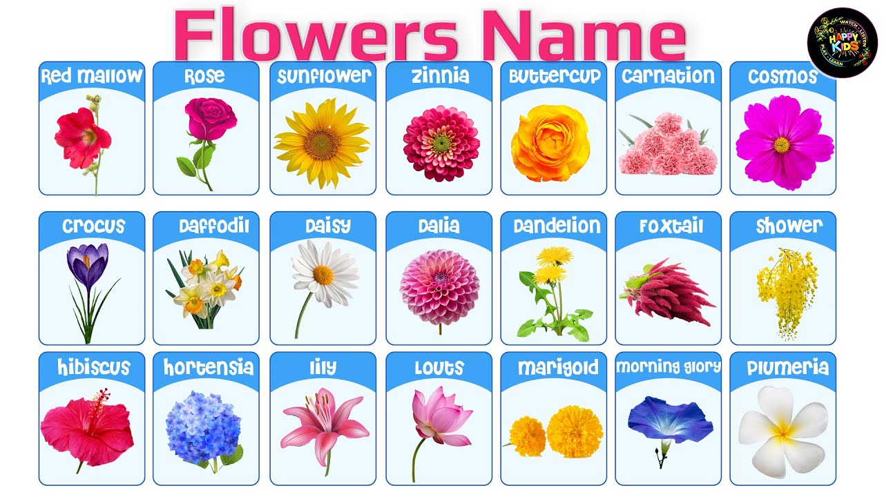Flowers name for kids II Flowers Name II फूलों के नाम II  List of Beautiful Flowers II
