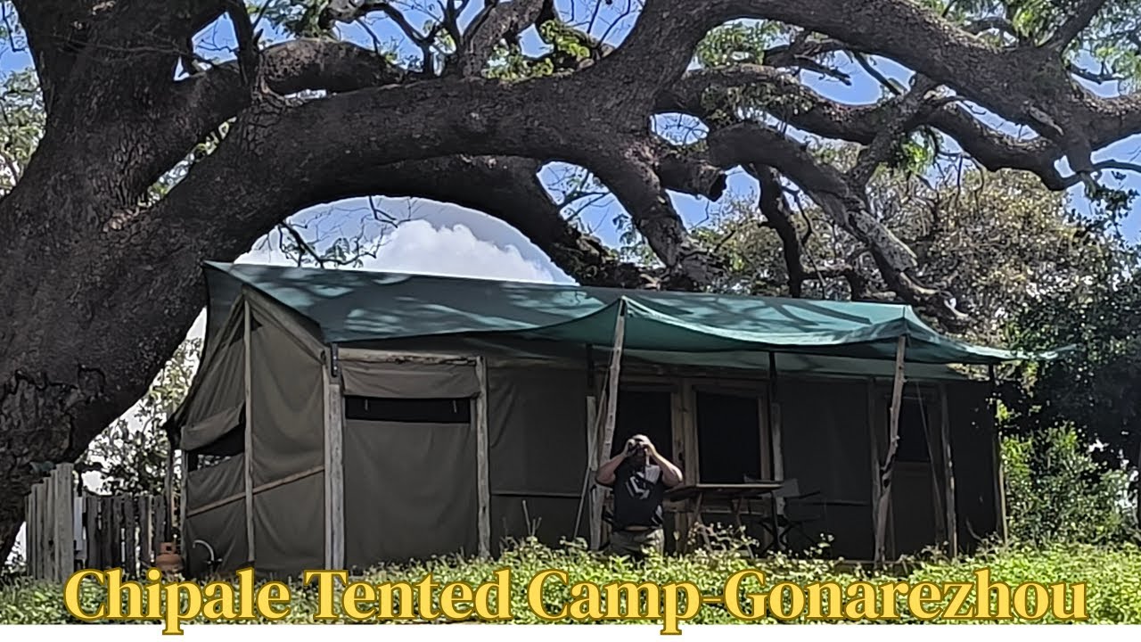 Best Places to Stay in Gonarezhou | Chipale Tented Camp