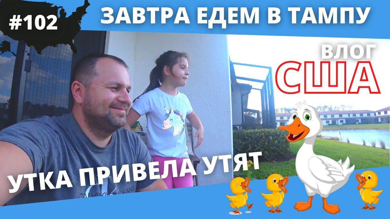#102 США ВЛОГ/ Утка привела утят/ Завтра едем в Тампу к друзьям/ 4K UltraHD