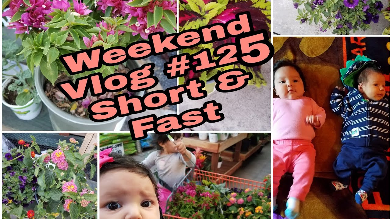 Weekend Vlog #125 | Yard, Photos, Yard