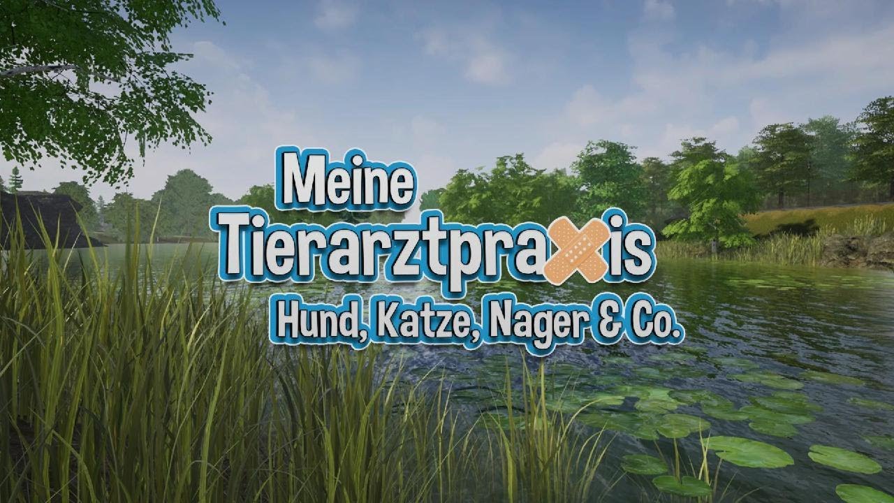 Let's play Meine Tierarztpraxis - Hund Katze Nager & Co ps5