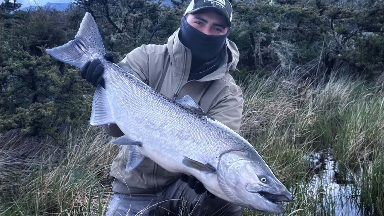 Pesca de salmón Chinook 📍Río Serrano, PARTE 1
