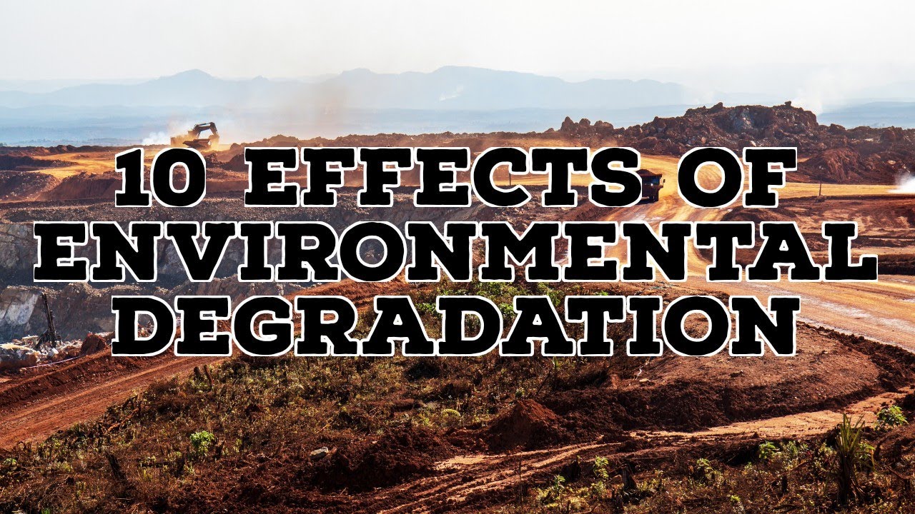 10 EFFECTS OF ENVIRONMENTAL DEGRADATION