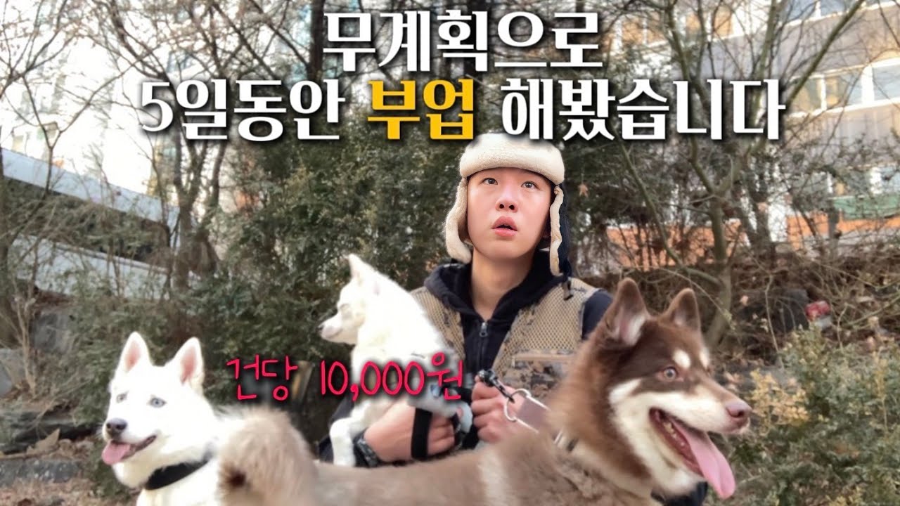 하루 투잡,직장 퇴근하고 5일동안 얼마 벌까?