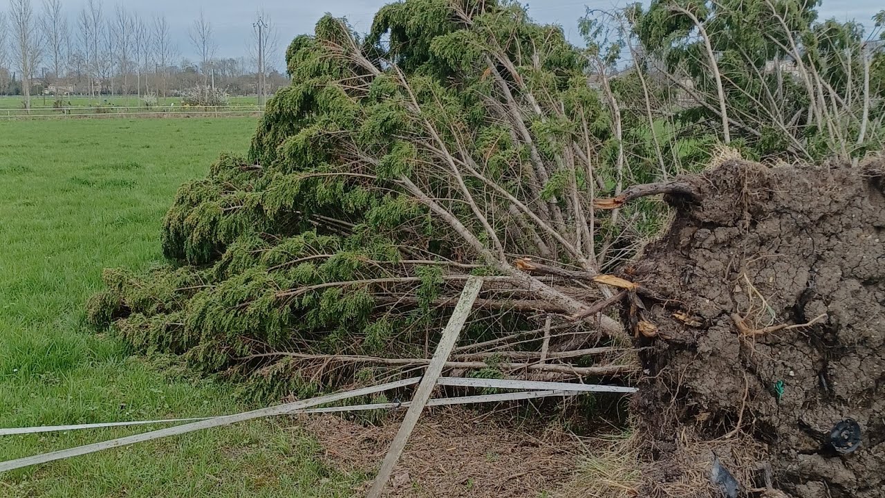 Les catastrophes 33 Gironde France like partager abonnez-vous🤲🏼🚨🚨🚨