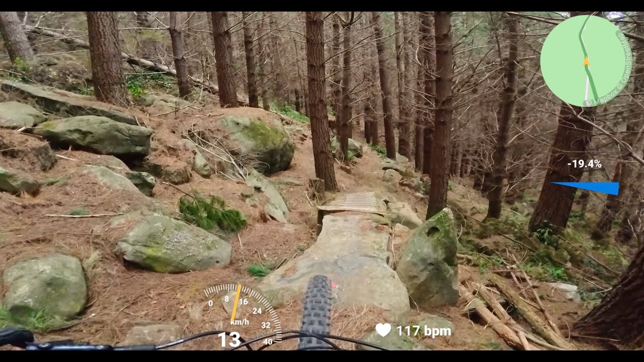 Whare Flat Trails