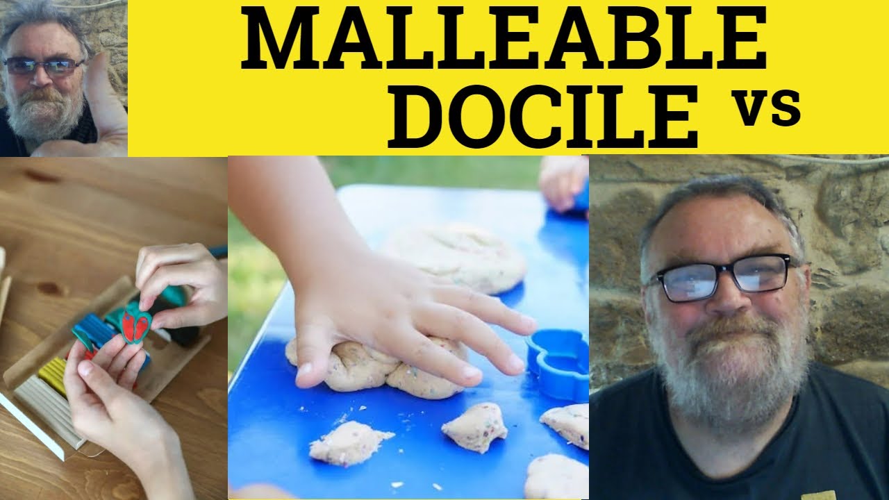 🔵 Malleable vs Docile Meaning - Docility or Malleability Examples - Malleable and Docile Difference