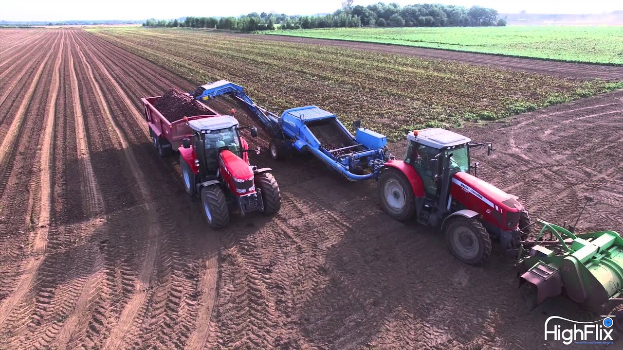Beetroot harvest - William f moore warplans ltd