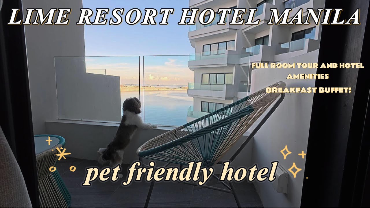 Отель в Маниле, где разрешено проживание с домашними животными | Отель Lime Resort в Маниле | Шве...