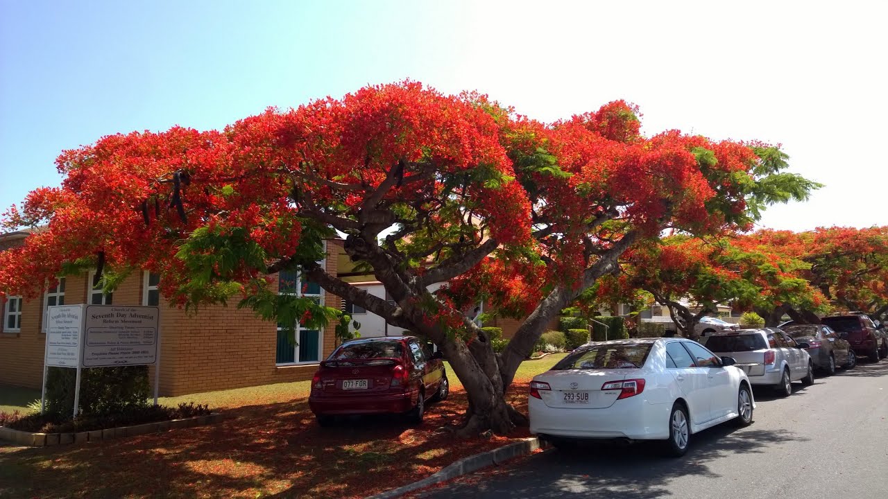 Peace - Nathan Tyler- Clayfield Church Sermon