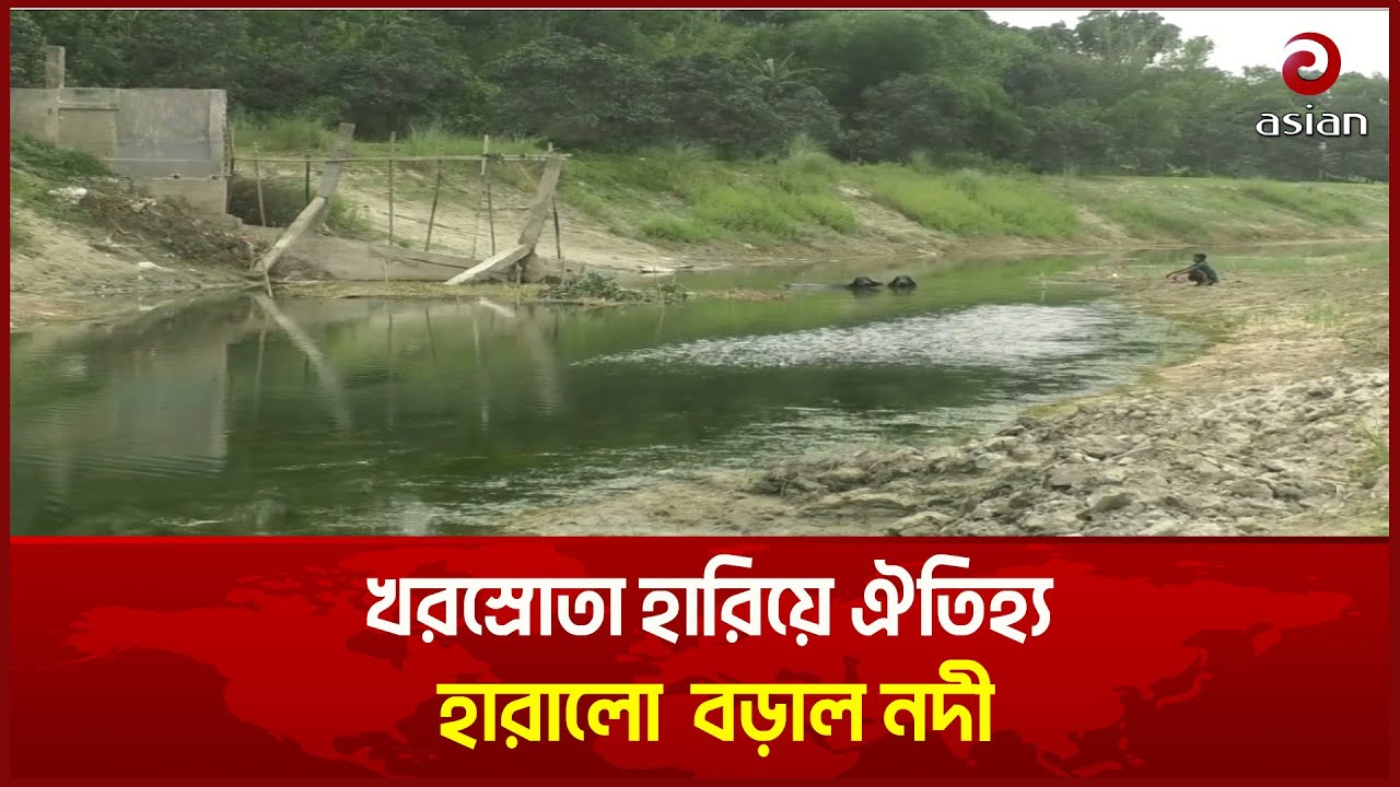 ধ্বংসের পথে বড়াল, দখল ও পলি জমে হারিয়ে যাচ্ছে নাটোরের ঐতিহ্যবাহী নদী | Nator | Asian Television