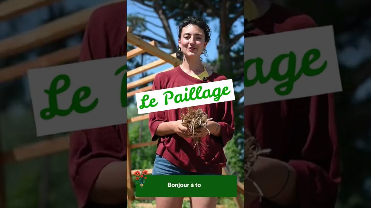 CAILLARD - Tuto d'entretien de ses semis : comment pailler son jardin ?