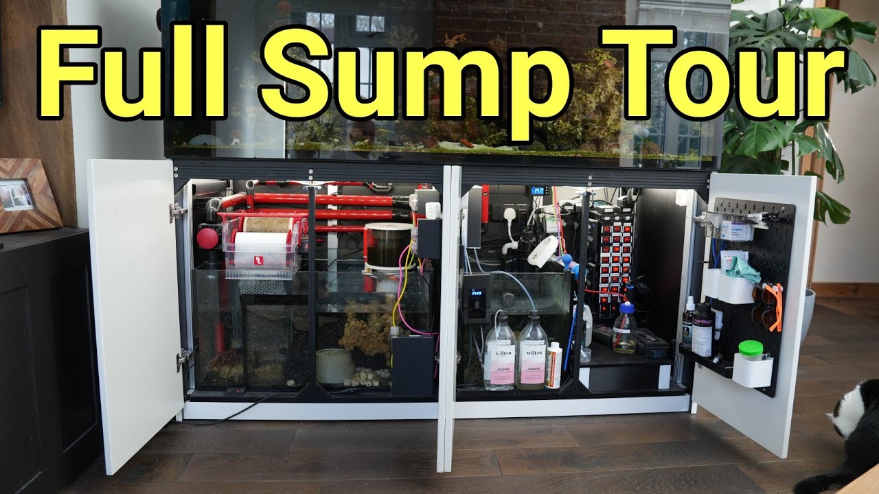 Red Sea Reefer G2 Sump Tour