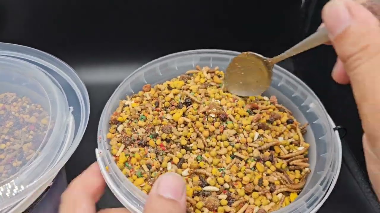 ماكو اخشن منه 😋 خلطة السوبر ديلوكس التحديث الجديد 🤩