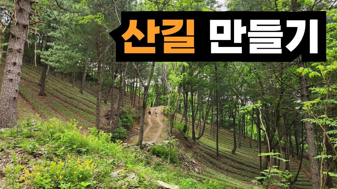 임야에 작업로 만들기 #작업로 #임도 #산림복합경영 #목재파쇄기